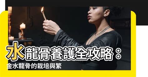 金水龍骨|金水龙骨